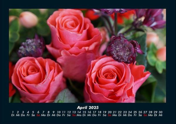Produktbild: Rosen-Kalender 2025 Fotokalender DIN A4