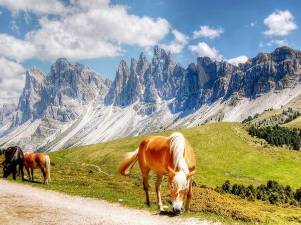 Produktbild: CALVENDO Puzzle Geisler Spitzen - Sas Rigais und Furchetta - Nordw&auml;nde - Villn&ouml;&szlig;tal - 3025 Hm | 1000 Teile Lege-Gr&ouml;&szlig;e 64x48cm Foto-Puzzle f&uuml;r gl&uuml;ckliche Stunden
