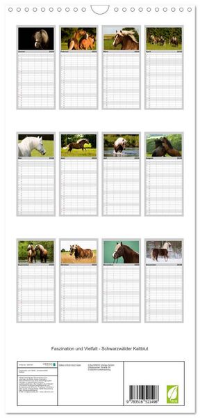 Produktbild: Familienplaner 2026 - Faszination und Vielfalt - Schwarzw&auml;lder Kaltblut mit 5 Spalten (Wandkalender, 21 x 45 cm) CALVENDO