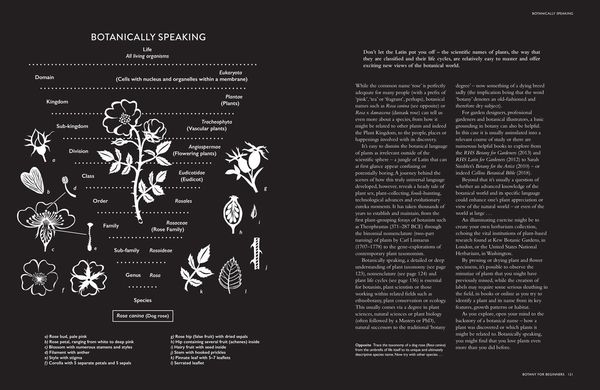 Produktbild: Collins Botanical Bible