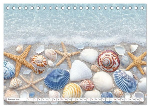Produktbild: Sandgefl&uuml;ster und Muschelzauber (Tischkalender 2026 DIN A5 quer), CALVENDO Monatskalender