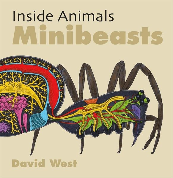 Produktbild: West, D: Inside Animals: Minibeasts