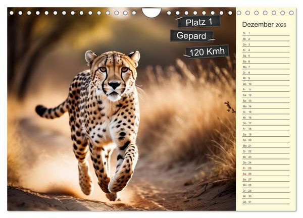 Produktbild: Wer rennt am schnellsten? (Wandkalender 2026 DIN A4 quer), CALVENDO Monatskalender