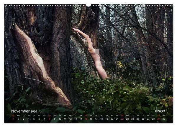 Produktbild: Lieblingsb&auml;ume - eins mit der Natur (Wandkalender 2026 DIN A2 quer), CALVENDO Monatskalender