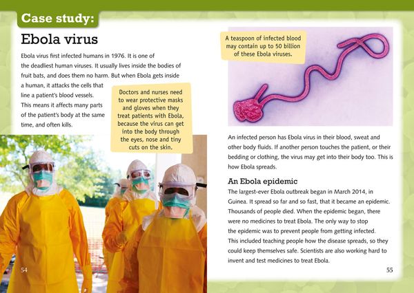 Produktbild: The Mysterious World of Microorganisms