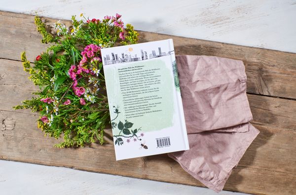 Produktbild: Unsere Wildbienen
