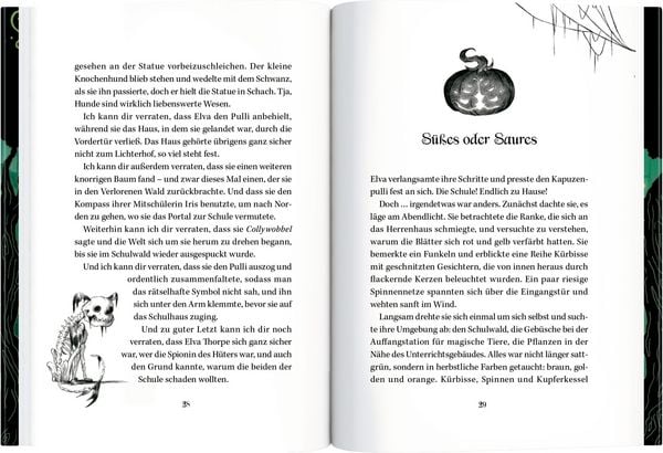 Produktbild: Die Schule der au&szlig;ergew&ouml;hnlichen Feen (Bd. 2)