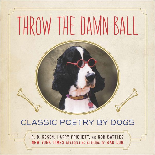Produktbild: Throw The Damn Ball