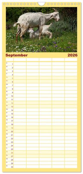 Produktbild: Familienplaner 2026 - Tierbabys 2026 mit 5 Spalten (Wandkalender, 21 x 45 cm) CALVENDO