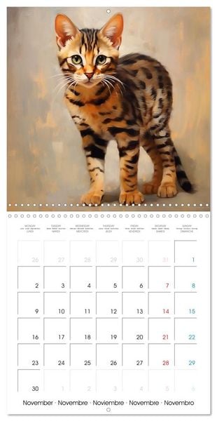 Produktbild: Illustrations Chatons (Calendrier mural carr&eacute; 2026 30x30 cm) Calendrier double avec une page pour vos prises de notes