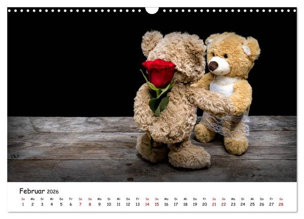 Produktbild: Eddy, der Teddy (Wandkalender 2026 DIN A3 quer), CALVENDO Monatskalender