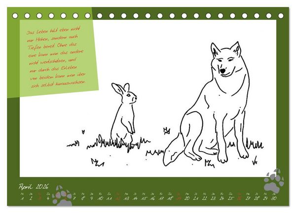 Produktbild: Der kleine GROSSE Wolf - Kalender (Tischkalender 2026 DIN A5 quer), CALVENDO Monatskalender