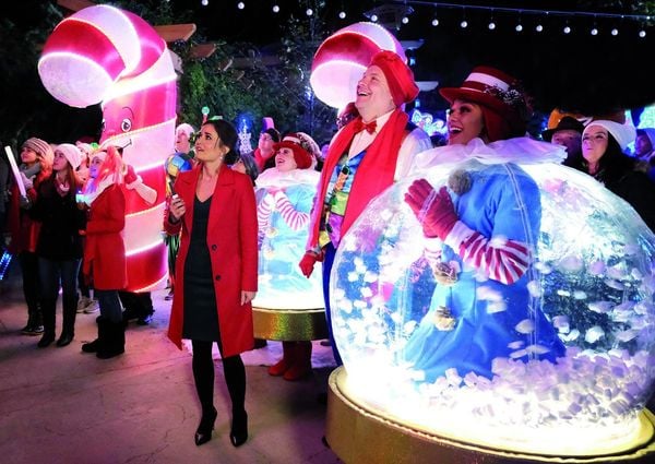 Produktbild: Liebe im Weihnachtspark