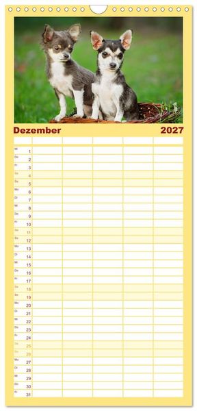Produktbild: Familienplaner 2027 - Enegieb&uuml;ndel Chihuahua - Temperament auf vier Pfoten mit 5 Spalten (Wandkalender, 21 x 45 cm) CALVENDO
