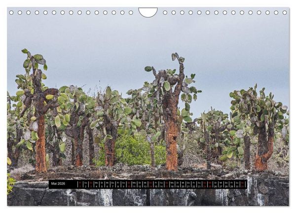 Produktbild: Galapagos- Landschaften (Wandkalender 2026 DIN A4 quer), CALVENDO Monatskalender