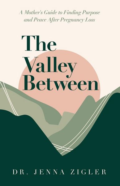 Produktbild: The Valley Between