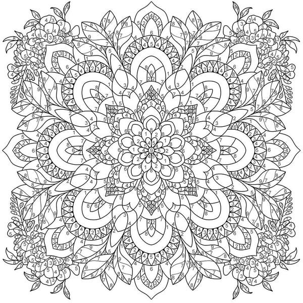 Produktbild: Mandala-Reise