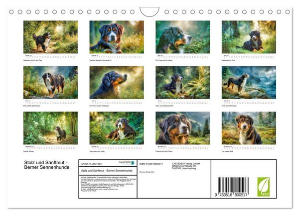 Produktbild: Stolz und Sanftmut - Berner Sennenhunde (Wandkalender 2027 DIN A4 quer), CALVENDO Monatskalender