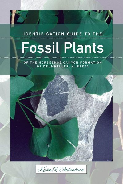 Produktbild: Identification Guide to the Fossil Plants of the Horseshoe Canyon Formation of Drumheller, Alberta (New)
