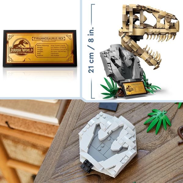 LEGO Jurassic World 76964 Dinosaurier-Fossilien: T.-rex-Kopf, Dino-Spielzeug