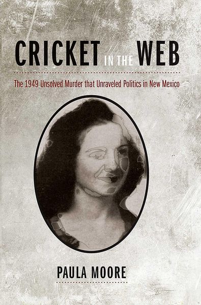 Produktbild: Cricket in the Web