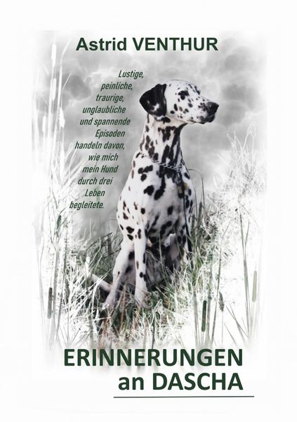Produktbild: Erinnerungen an Dascha