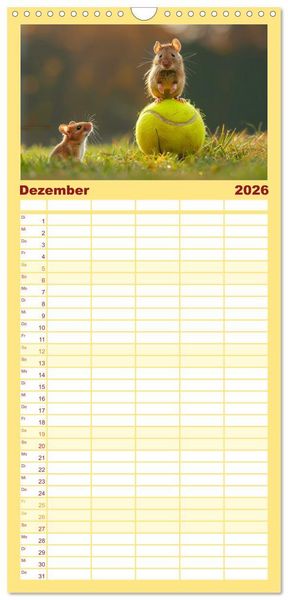Produktbild: Familienplaner 2026 - Tierische Balljunkies mit 5 Spalten (Wandkalender, 21 x 45 cm) CALVENDO