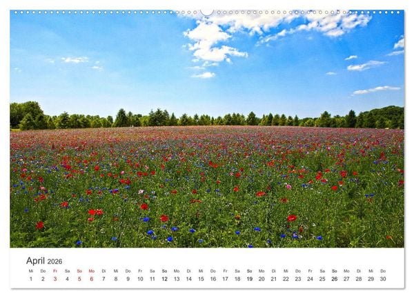 Produktbild: Die sch&ouml;nsten Blumenwiesen der Welt (hochwertiger Premium Wandkalender 2026 DIN A2 quer), Kunstdruck in Hochglanz