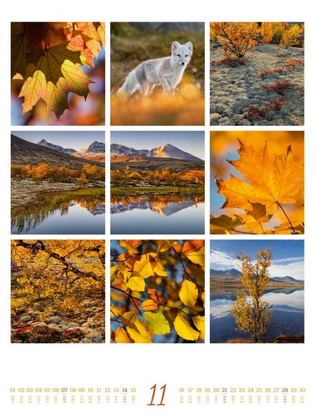 Produktbild: Inspiration Natur Kalender 2027
