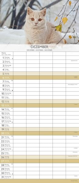 Kätzchen 2026 Familienplaner - Familienkalender - Wandkalender - 19,5x45