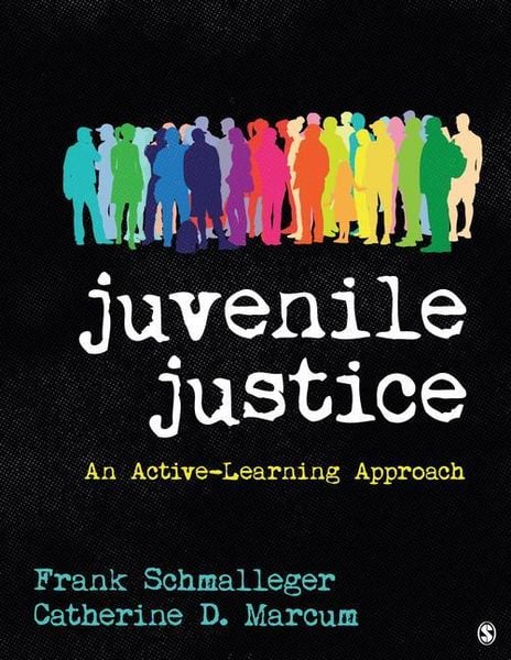 Produktbild: Juvenile Justice: An Active-Learning Approach