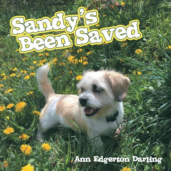 Produktbild: Sandy's Been Saved