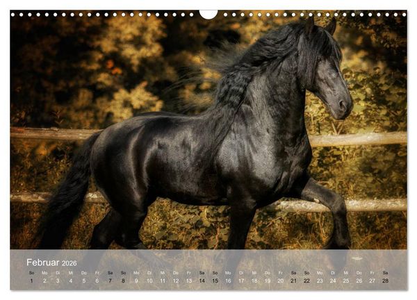 Produktbild: Pferde - Anmut und St&auml;rke gepaart mit Magie (Wandkalender 2026 DIN A3 quer), CALVENDO Monatskalender