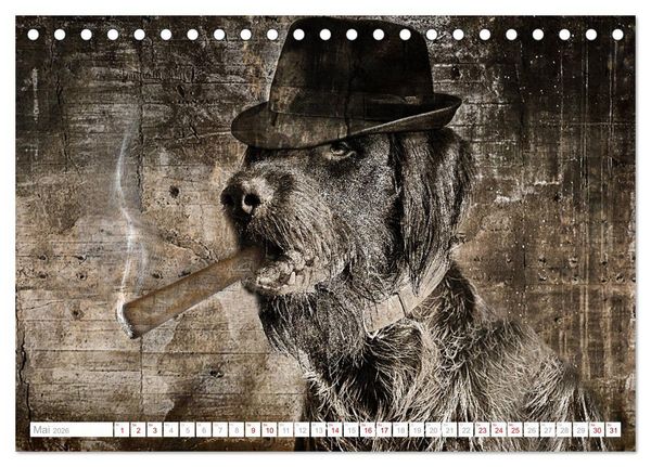 Produktbild: Hund tr&auml;gt Hut (Tischkalender 2026 DIN A5 quer), CALVENDO Monatskalender