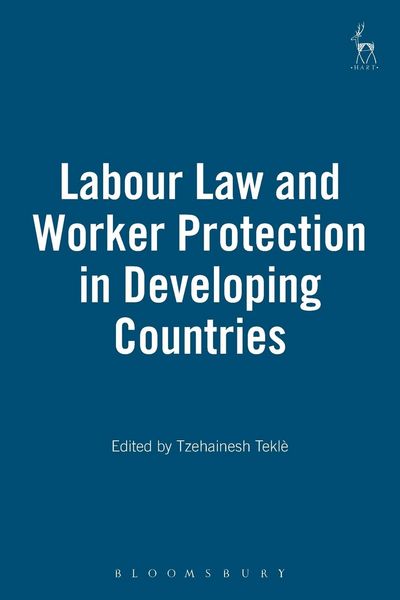 Produktbild: Labour Law and Worker Protection in Developing Countries
