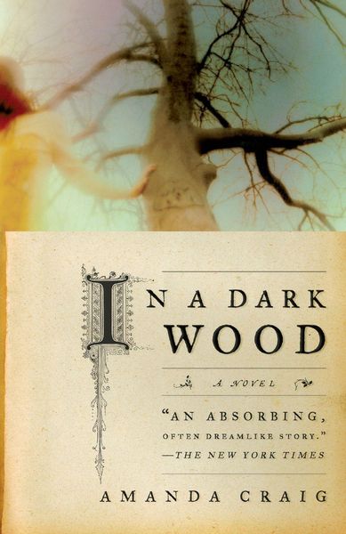 Produktbild: In a Dark Wood