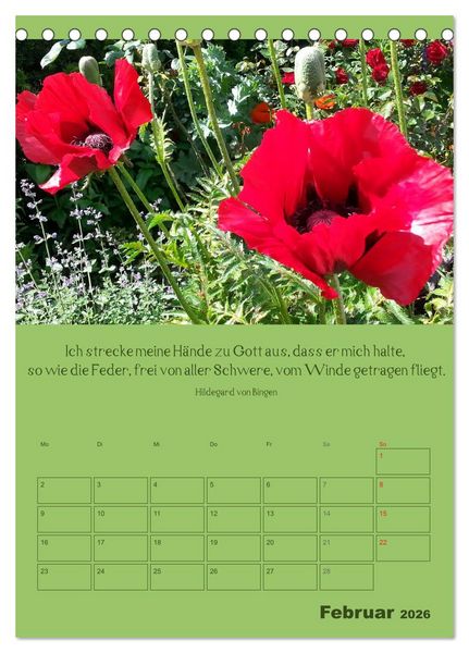 Produktbild: Erkenntnis und Weisheit - Hildegard von Bingen (Tischkalender 2026 DIN A5 hoch), CALVENDO Monatskalender