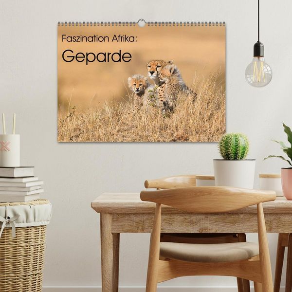 Produktbild: Faszinaton Afrika: Geparde (Wandkalender 2026 DIN A3 quer), CALVENDO Monatskalender