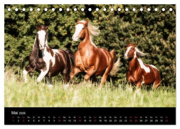 Produktbild: Pferde Tr&auml;ume (Tischkalender 2026 DIN A5 quer), CALVENDO Monatskalender