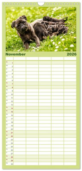 Produktbild: Familienplaner 2026 - M&ouml;pse mit 5 Spalten (Wandkalender, 21 x 45 cm) CALVENDO
