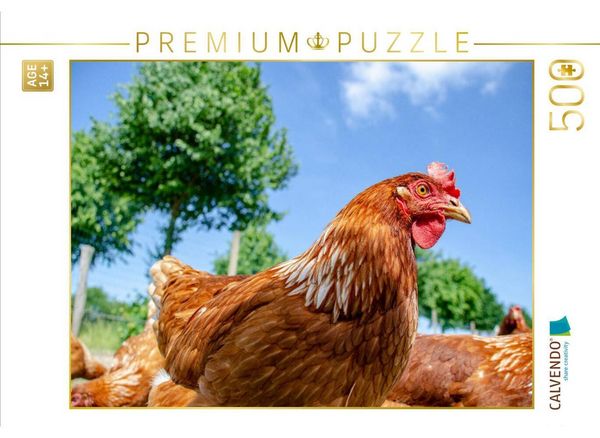 CALVENDO Puzzle Glückliches Huhn | 500 Teile Lege-Größe 48 × 36 cm Foto-Puzzle für Erwachsene