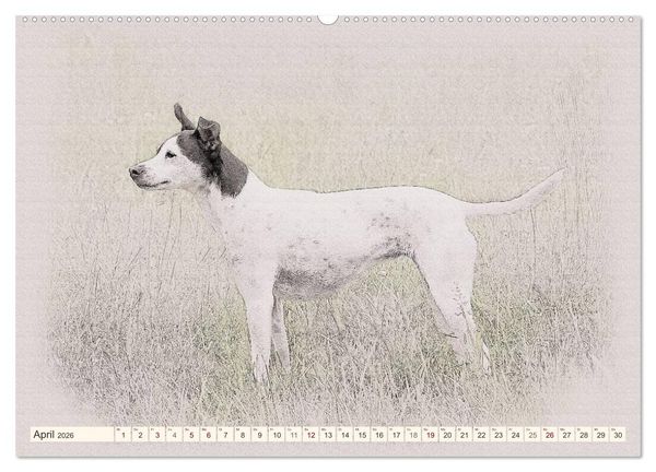 Produktbild: Bodeguero Andaluz 2026 (hochwertiger Premium Wandkalender 2026 DIN A2 quer), Kunstdruck in Hochglanz