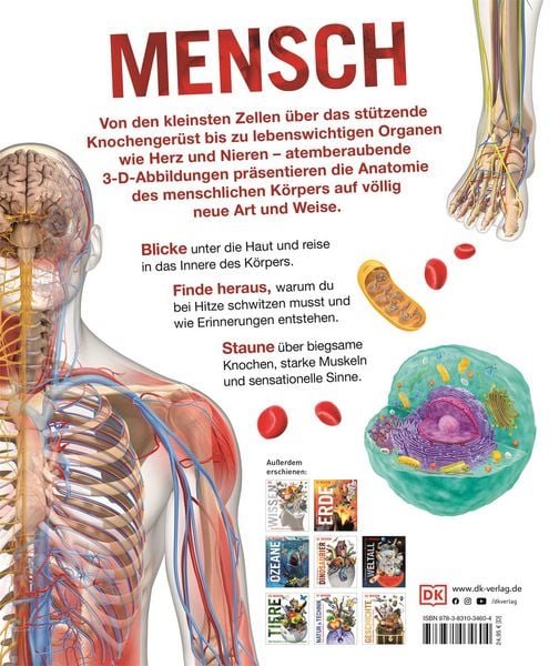 Produktbild: DK Wissen. Mensch