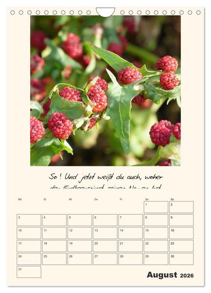 Produktbild: Gartengeschichten (Wandkalender 2026 DIN A4 hoch), CALVENDO Monatskalender