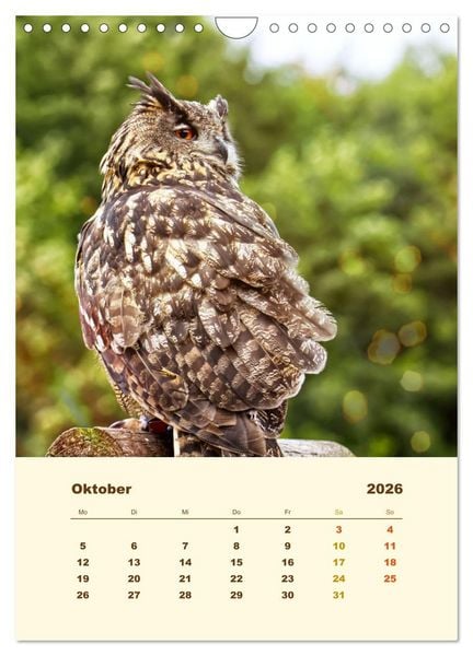 Produktbild: Uhu, die Faszination bernsteinfarbener Augen (Wandkalender 2026 DIN A4 hoch), CALVENDO Monatskalender