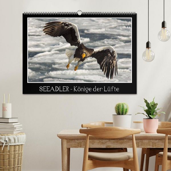 Produktbild: Seeadler - K&ouml;nige der L&uuml;fte (Wandkalender 2026 DIN A2 quer), CALVENDO Monatskalender