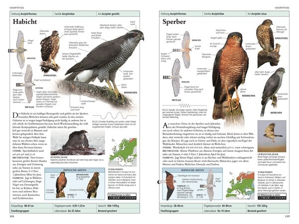 Produktbild: V&ouml;gel in Europa