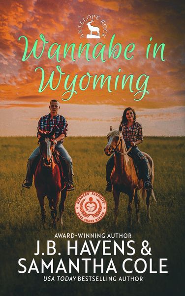 Produktbild: Wannabe in Wyoming (Antelope Rock, #1)