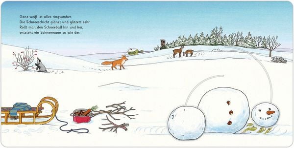 Produktbild: Das Schneewunder