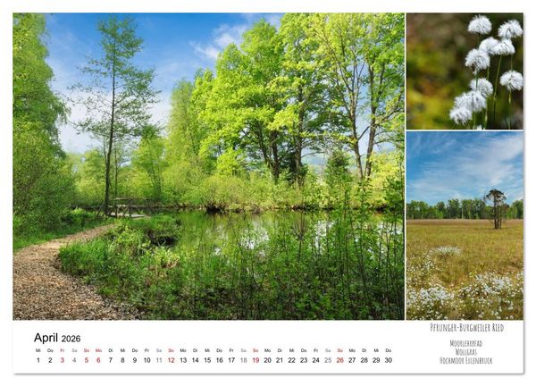 Produktbild: Schwabens Riede und Moore (Wandkalender 2026 DIN A3 quer), CALVENDO Monatskalender